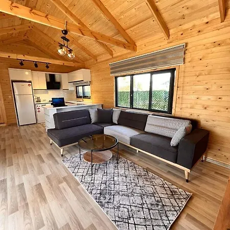 Karya Tree House Tatil Evi